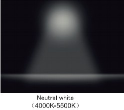 Warm White:4000-5500K